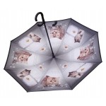 umbrella cat
