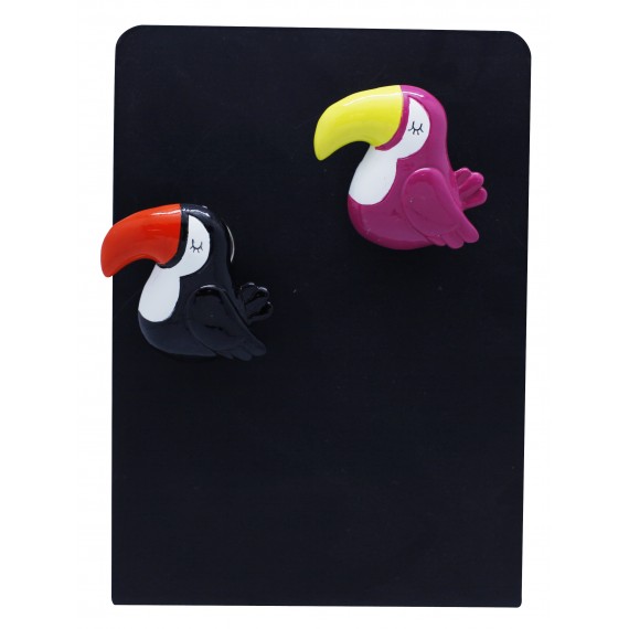 Toucan magnet with clip